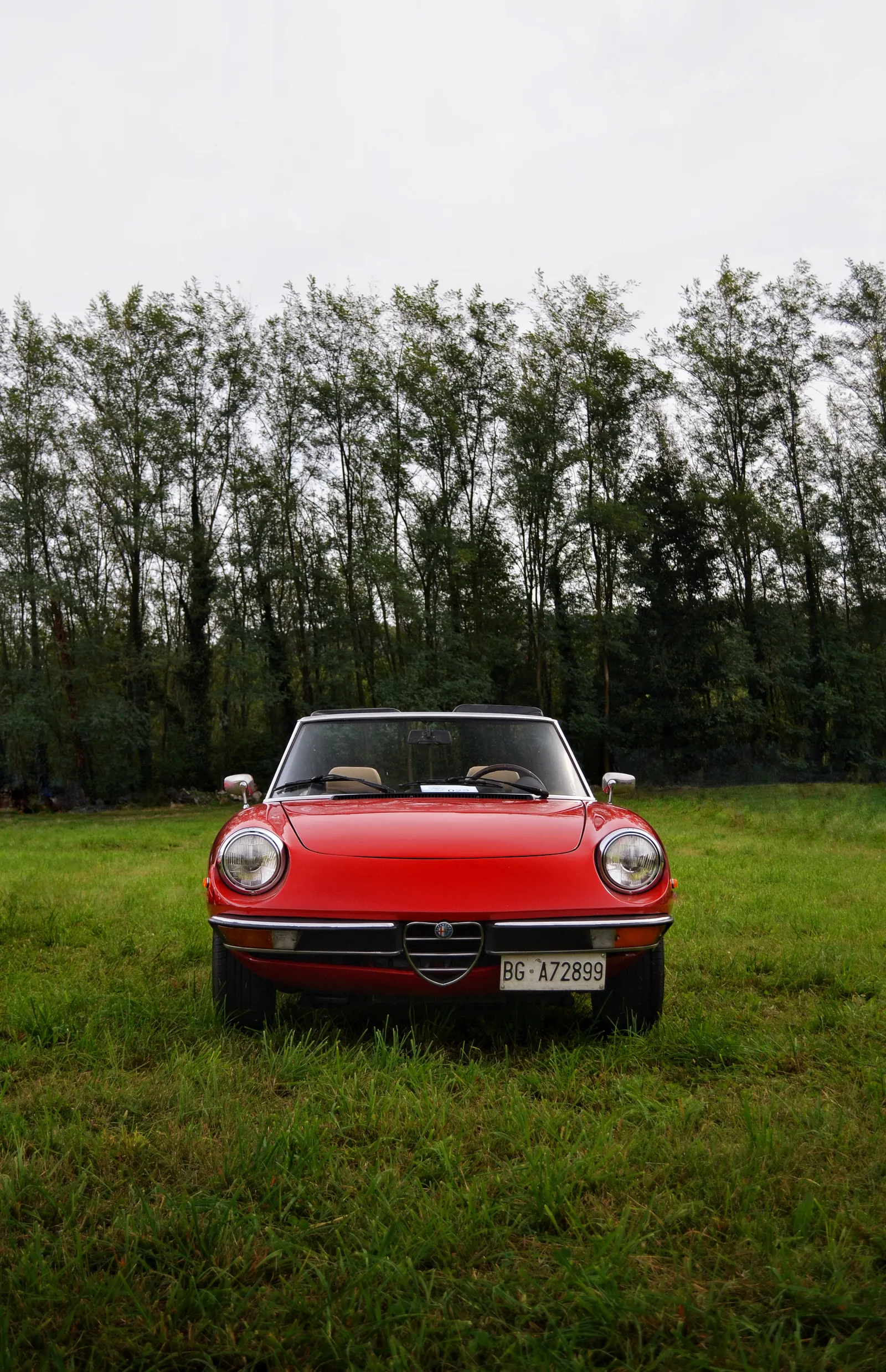 Alfa Romeo Spider rossa in un prato verde